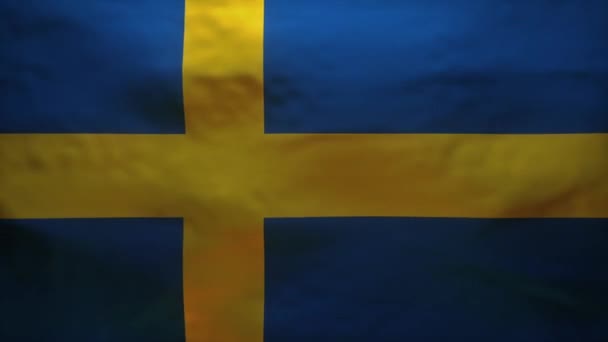 Švédsko Vlajka Trhán Odhalit Model Coronavirus Covid19 — Stock video