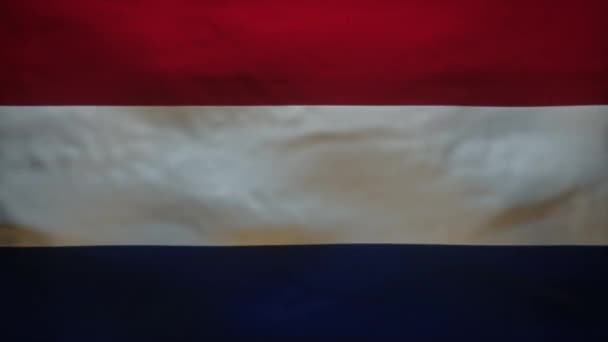 Animación Bandera Holandesa Siendo Rasgada Canal Alfa — Vídeos de Stock