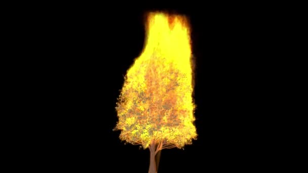 Zbliżenie Płonącego Drzewa Kanał Alfa — Wideo stockowe