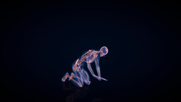 Menselijk Röntgenlichaam Skelet Tuinierlus — Stockvideo