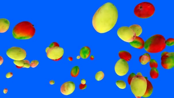 青い画面に対して スローモーションで飛ぶマンゴー — ストック動画