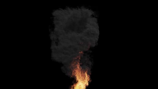 黒の背景に隔離された炎の竜巻 シームレスなループ — ストック動画