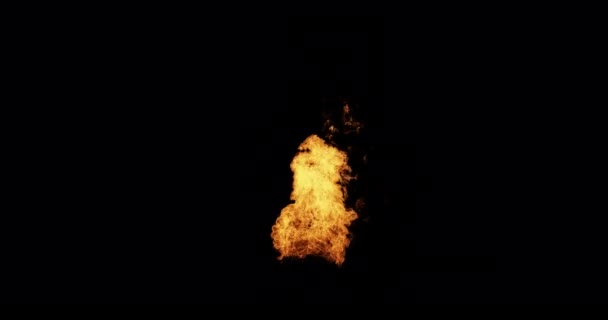 Fire Flames Geïsoleerd Alpha Channel — Stockvideo