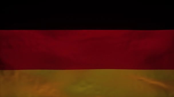 コロナウイルスCovid19 Alpha Channelの正確なモデルを明らかにするためにリッピングされているドイツ国旗 — ストック動画
