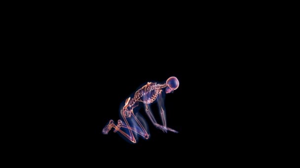 Menselijk Röntgenlichaam Skelet Tuinierlus Alpha Channel — Stockvideo
