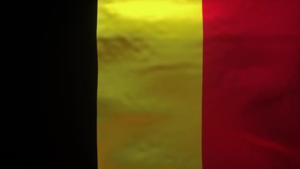 Drapeau Belgique Déchiré Pour Révéler Modèle Précis Coronavirus Covid Canal — Video