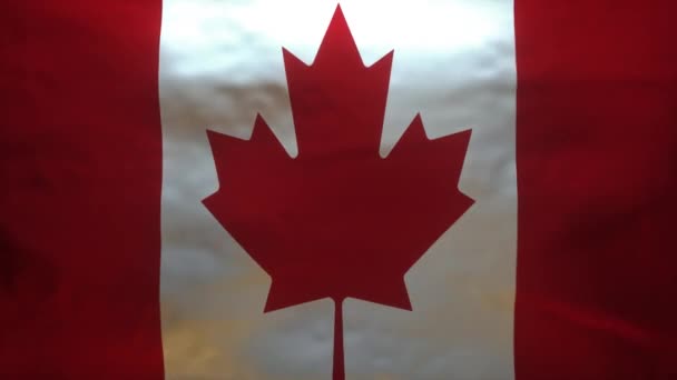 Kanada Vlajka Trhán Odhalit Přesný Model Coronavirus Covid19 Alpha Channel — Stock video