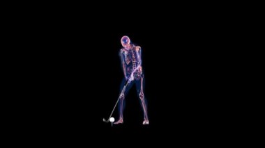 İnsan X-ışını vücut ve iskeleti, Golf Vuruşu, Kamera Döndürme, Alfa Kanalı