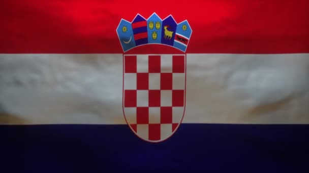 コロナウイルスCovid 19の3Dフローを明らかにするためにリッピングされているクロアチア国旗 — ストック動画