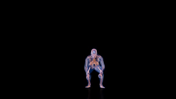 Corpo Raio Humano Esqueleto Fazendo Burpees Loop — Vídeo de Stock