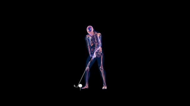 Cuerpo Esqueleto Rayos Humanos Golpe Golf Rotación Cámara Canal Alfa — Vídeos de Stock
