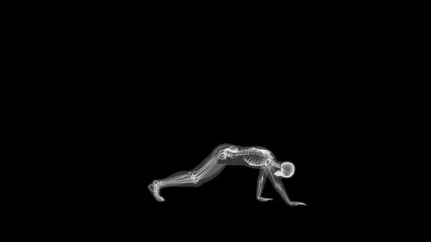 Nsan Vücudu Iskeleti Yoga Yan Görüş Döngüsü — Stok video