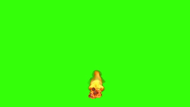苦しみの中でクロール火の兵士 緑の画面のクロマキー — ストック動画