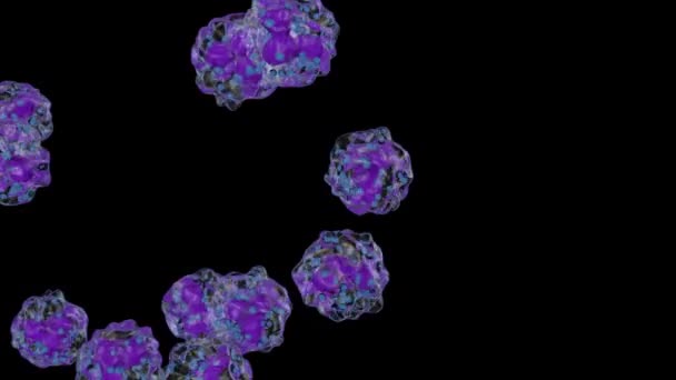 白血球の流れ バソフィルス アルファチャンネル — ストック動画