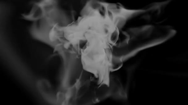 画面に向かって流れる煙 シームレスなループ アルファチャンネル — ストック動画