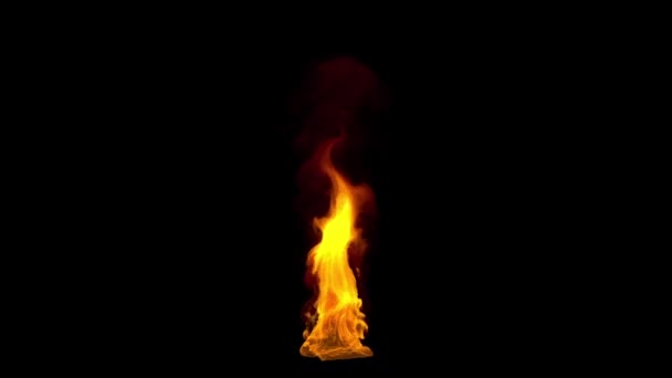 Close Fire Flames Seamless Loop — Stock Video