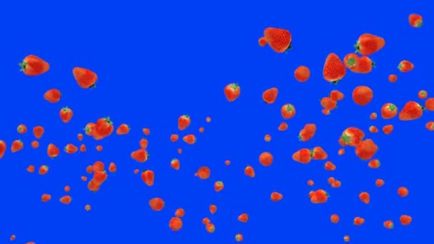 Färska Jordgubbar Flyger Slow Motion Mot Blue Screen — Stockvideo