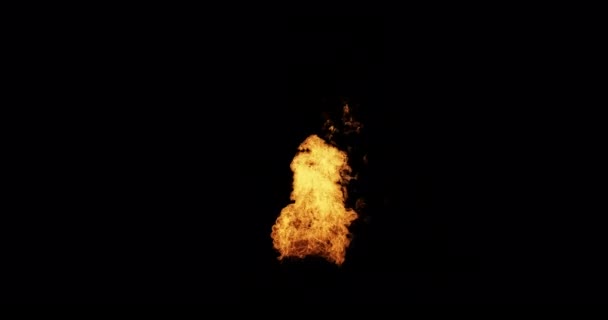 Brandflammor Isolerade Mot Svart — Stockvideo