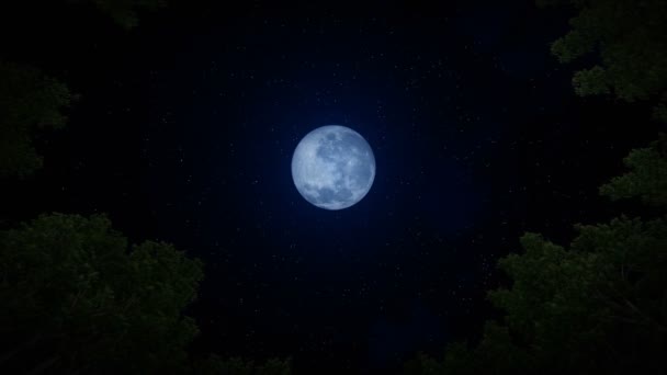 Looking Full Moon Timelapse Clouds Starry Sky Zoom — Vídeo de stock