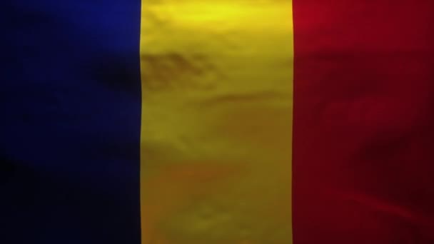 Державний Прапор Румунії Був Розірваний Щоб Виявити Потік Крові Заражений — стокове відео