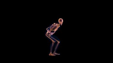 Human x-ray body and skeleton, stomack pain loop, Alpha Channel