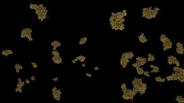 Fresh grapes flying in slow motion, Luma Matte attached