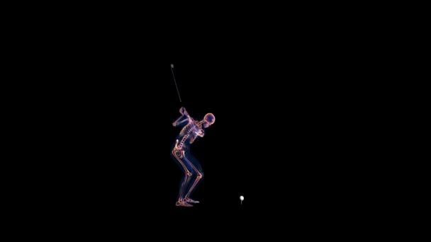 人体X光和骨骼 高尔夫打击 阿尔法通道 — 图库视频影像