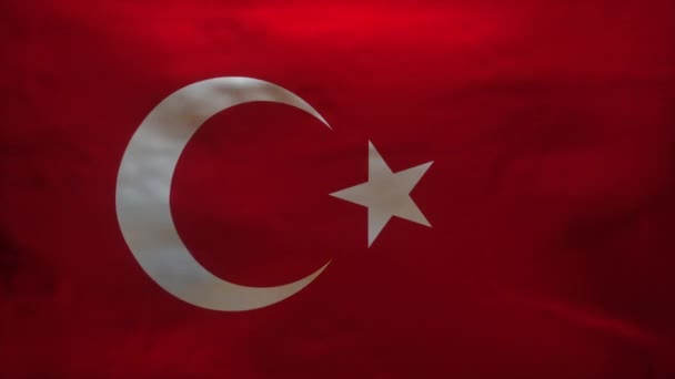 Turkije Vlag Wordt Gescheurd Model Van Coronavirus Covid19 Onthullen — Stockvideo