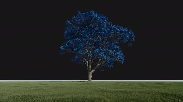 Magical Tree Changing Colors Grren Meadow Loop Alpha Channel — стоковое видео