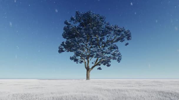 Дерево Жизни Меняется Цвет Листьев Против Голубого Неба Зимой — стоковое видео