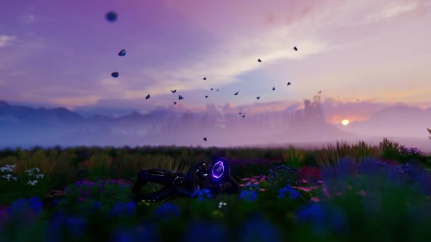 Alien Sitting Flower Meadow Butterflies Timelapse Sunrise — Stock video
