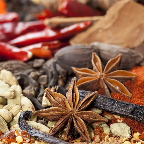 Spices Background — Stock Photo, Image