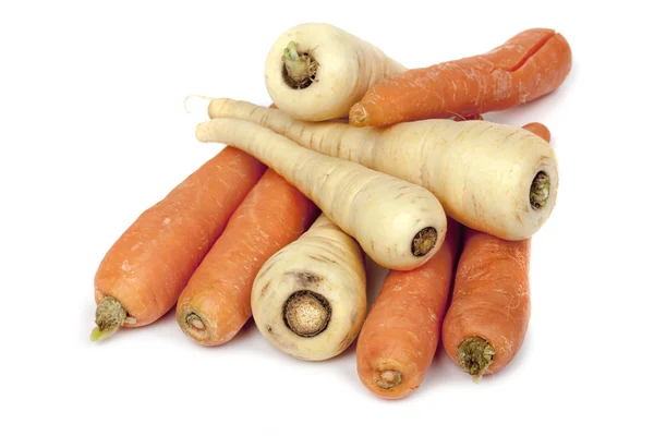 Carrots and Parsnips Isolated — Stock Photo, Image