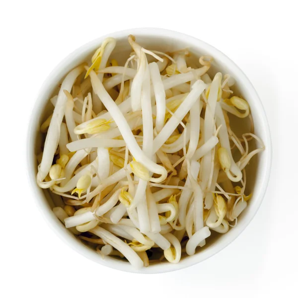 Bean sprouts — Stock Photo © asimojet 25936667