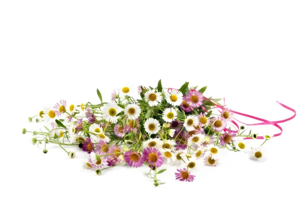 Bund weißer und rosa Gänseblümchen isoliert — Stockfoto