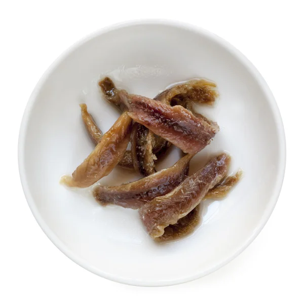 Anchovies Isolated — Stock Photo, Image