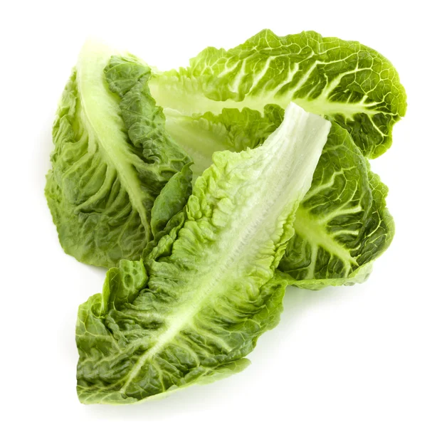 Foglie di lattuga Romaine isolate — Foto Stock