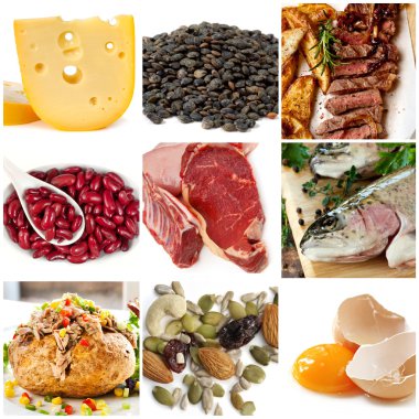 protein besin kaynakları