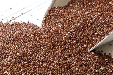 Kırmızı quinoa