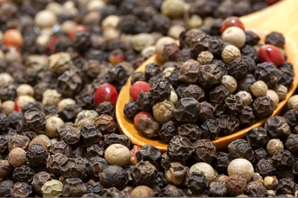 Peppercorns — Stock fotografie