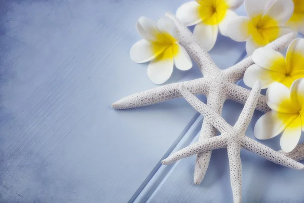 Deniz yıldızı ve plumeria çiçekler — Stok fotoğraf