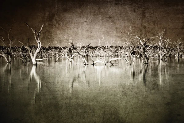 Grunge Flooded Landscape — Stock Photo, Image