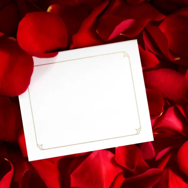 Geschenkenkaart op rood roze bloemblaadjes — Stockfoto