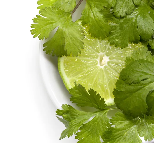 Ασβέστη και το cilantro ή κόλιανδρο — Φωτογραφία Αρχείου