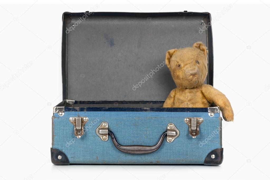 Vintage Teddy Bear in Old School Case
