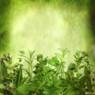 Herbal Background with Grunge Effects