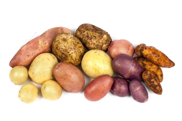 Aardappel rassen geïsoleerd op wit — Stockfoto