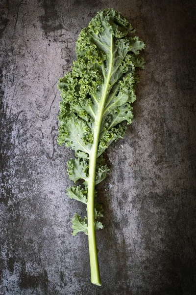 Boerenkool leaf op leisteen bovenaanzicht — Stockfoto