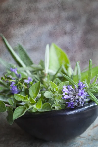 Bowl of Fresh Herbs with Grunge Effects — Stock Photo, Image