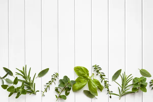 Fresh Herbs Border — Stock Photo, Image